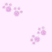 pink paw prints on a light pink background